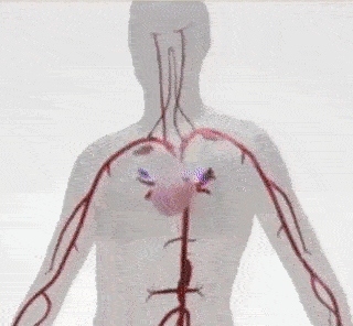 gif-2-1-1.gif
